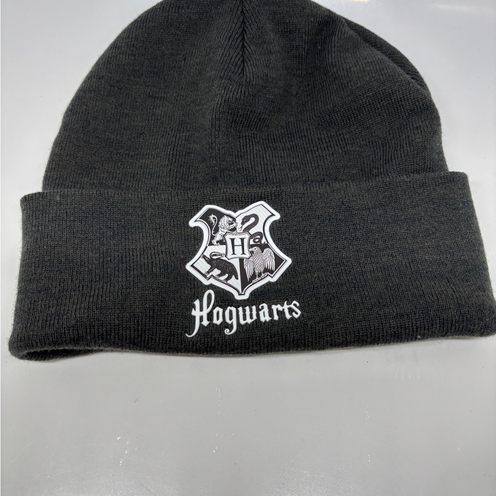 H&M Gray Harry Potter Hogwarts Knit Beanie